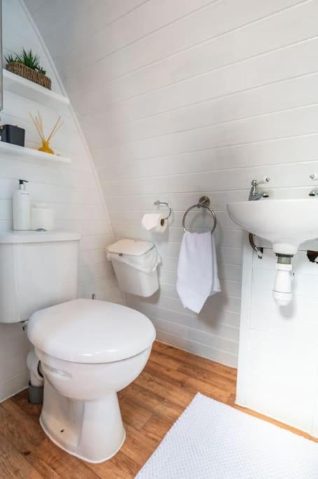 Robin Nest - Cosy Shepherd'S Hut Hideaway Callington Extérieur photo